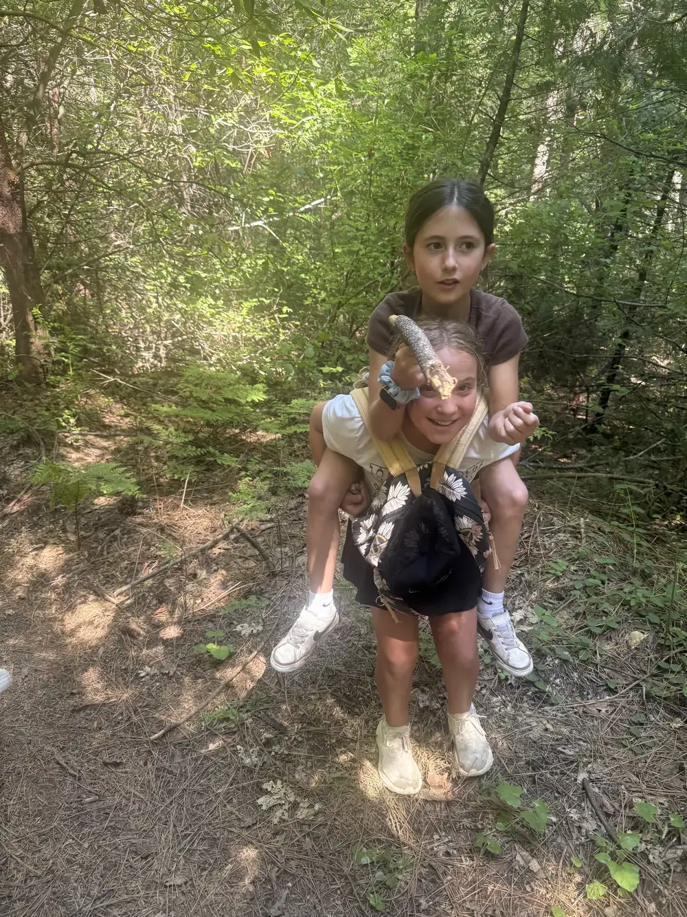 Hike in